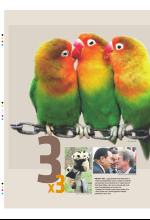 bergenstidende_btmagasinet-20090307_000_00_00_008.pdf