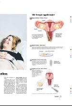 bergenstidende_btmagasinet-20090404_000_00_00_021.pdf