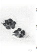 bergenstidende_btmagasinet-20090418_000_00_00_015.pdf