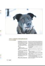 bergenstidende_btmagasinet-20090418_000_00_00_016.pdf