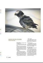 bergenstidende_btmagasinet-20090418_000_00_00_018.pdf