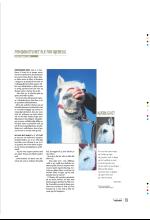 bergenstidende_btmagasinet-20090418_000_00_00_019.pdf