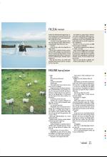 bergenstidende_btmagasinet-20090425_000_00_00_025.pdf