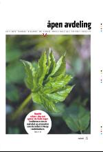 bergenstidende_btmagasinet-20090509_000_00_00_035.pdf