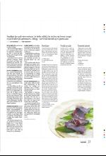 bergenstidende_btmagasinet-20090523_000_00_00_037.pdf