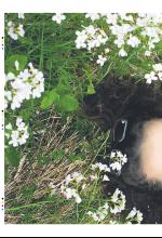 bergenstidende_btmagasinet-20090606_000_00_00_012.pdf