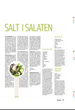 bergenstidende_btmagasinet-20090613_000_00_00_041.pdf