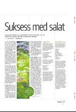 bergenstidende_btmagasinet-20090620_000_00_00_037.pdf