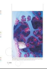 bergenstidende_btmagasinet-20090627_000_00_00_010.pdf