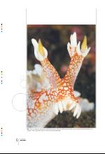 bergenstidende_btmagasinet-20090627_000_00_00_012.pdf