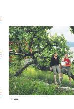 bergenstidende_btmagasinet-20090718_000_00_00_010.pdf