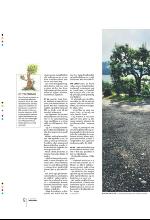 bergenstidende_btmagasinet-20090718_000_00_00_012.pdf