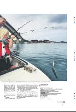 bergenstidende_btmagasinet-20090725_000_00_00_029.pdf