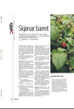 bergenstidende_btmagasinet-20090801_000_00_00_030.pdf