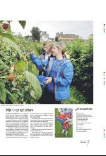 bergenstidende_btmagasinet-20090801_000_00_00_031.pdf