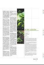 bergenstidende_btmagasinet-20090801_000_00_00_035.pdf