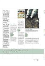 bergenstidende_btmagasinet-20090815_000_00_00_039.pdf