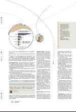 bergenstidende_btmagasinet-20090905_000_00_00_028.pdf