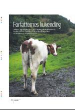 bergenstidende_btmagasinet-20090919_000_00_00_030.pdf