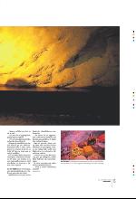 bergenstidende_btmagasinet-20090926_000_00_00_015.pdf