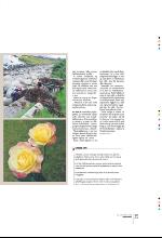 bergenstidende_btmagasinet-20090926_000_00_00_039.pdf