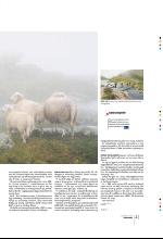 bergenstidende_btmagasinet-20091003_000_00_00_041.pdf