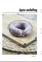 bergenstidende_btmagasinet-20091017_000_00_00_037.pdf