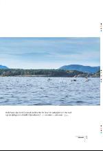 bergenstidende_btmagasinet-20091024_000_00_00_013.pdf