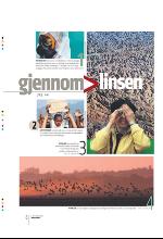 bergenstidende_btmagasinet-20091031_000_00_00_008.pdf