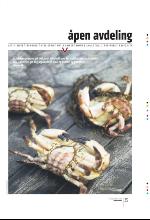 bergenstidende_btmagasinet-20091128_000_00_00_035.pdf