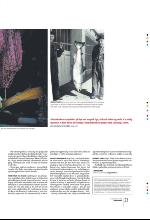 bergenstidende_btmagasinet-20091205_000_00_00_023.pdf
