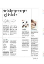 bergenstidende_btmagasinet-20091212_000_00_00_045.pdf