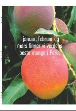 bergenstidende_btmagasinet-20100109_000_00_00_032.pdf