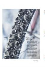 bergenstidende_btmagasinet-20100130_000_00_00_013.pdf
