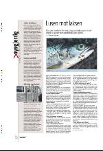 bergenstidende_btmagasinet-20100130_000_00_00_036.pdf