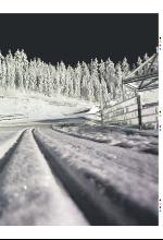 bergenstidende_btmagasinet-20100213_000_00_00_015.pdf