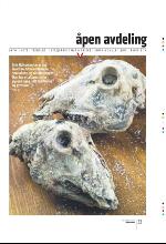 bergenstidende_btmagasinet-20100213_000_00_00_033.pdf