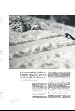 bergenstidende_btmagasinet-20100220_000_00_00_028.pdf