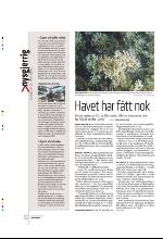 bergenstidende_btmagasinet-20100220_000_00_00_036.pdf