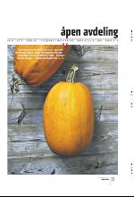 bergenstidende_btmagasinet-20100227_000_00_00_033.pdf