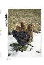 bergenstidende_btmagasinet-20100327_000_00_00_042.pdf