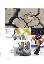 bergenstidende_btmagasinet-20100331_000_00_00_008.pdf