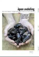 bergenstidende_btmagasinet-20100410_000_00_00_031.pdf