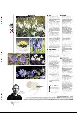 bergenstidende_btmagasinet-20100417_000_00_00_048.pdf