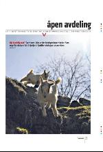 bergenstidende_btmagasinet-20100424_000_00_00_031.pdf