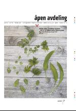 bergenstidende_btmagasinet-20100515_000_00_00_037.pdf