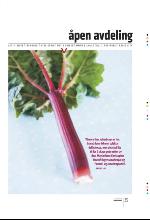 bergenstidende_btmagasinet-20100522_000_00_00_035.pdf