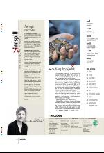 bergenstidende_btmagasinet-20100529_000_00_00_004.pdf