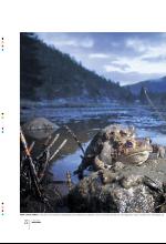 bergenstidende_btmagasinet-20100529_000_00_00_022.pdf