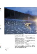 bergenstidende_btmagasinet-20100529_000_00_00_024.pdf